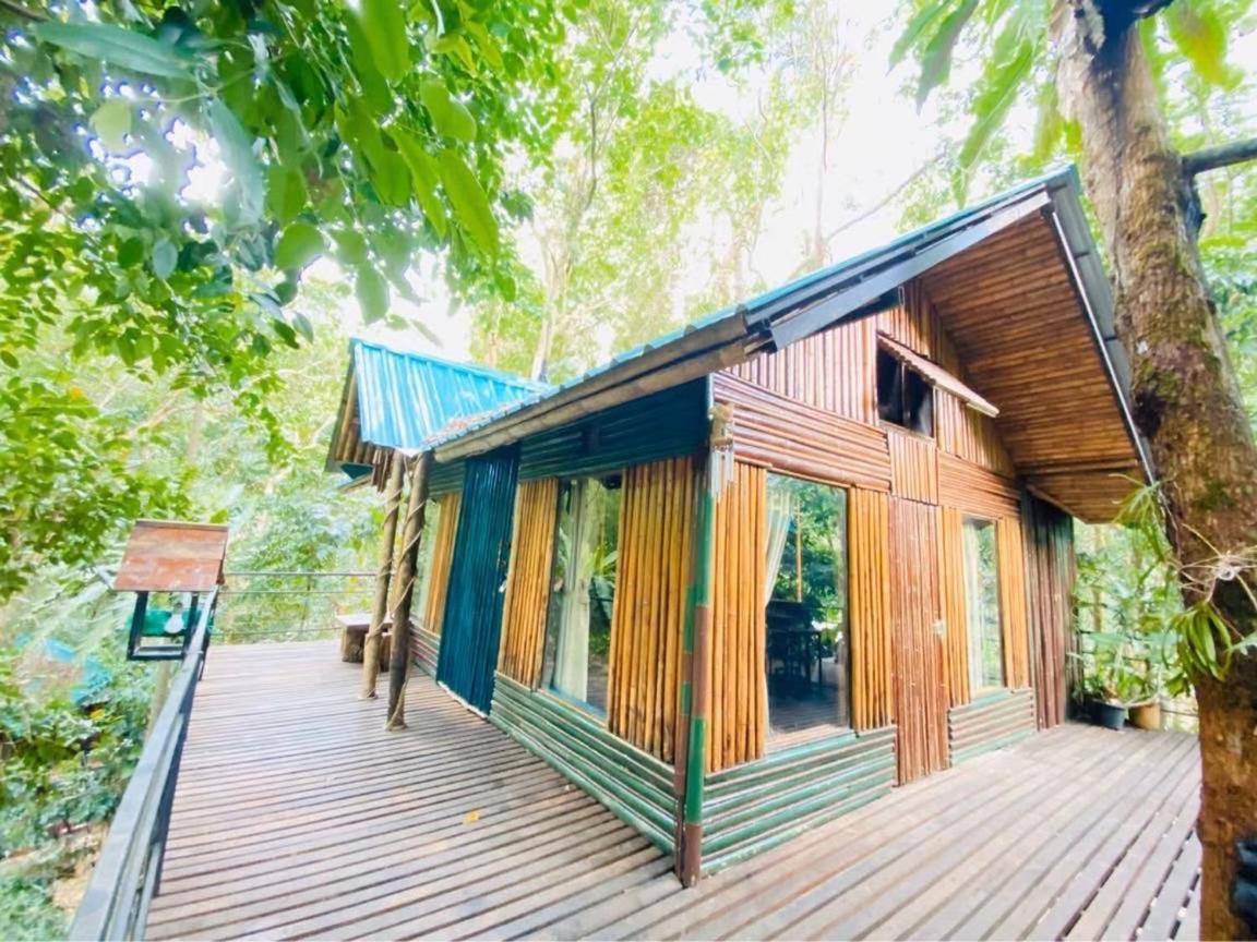 Khao Sok Tree House Resort Khao Sok National Park Экстерьер фото