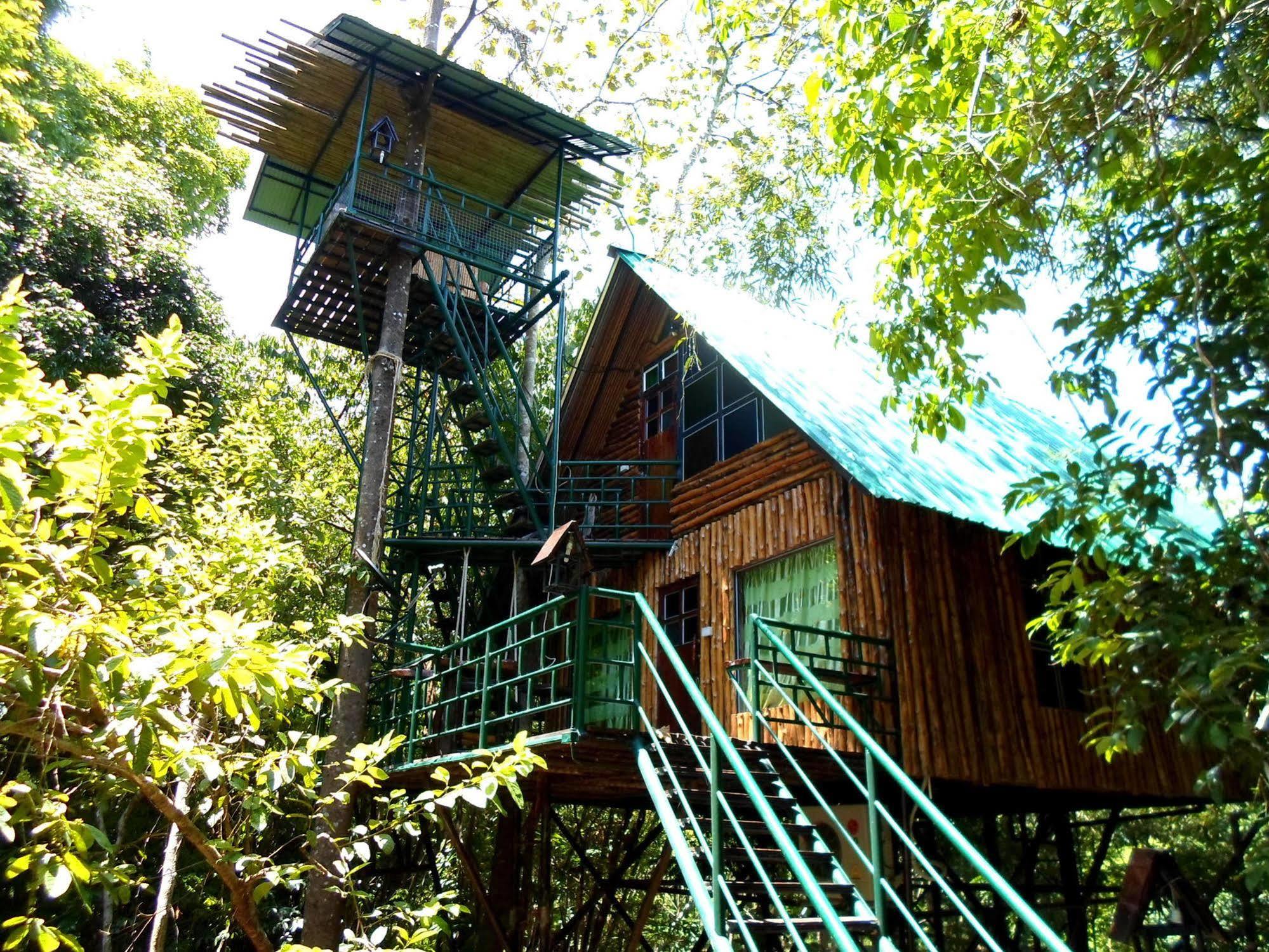 Khao Sok Tree House Resort Khao Sok National Park Экстерьер фото